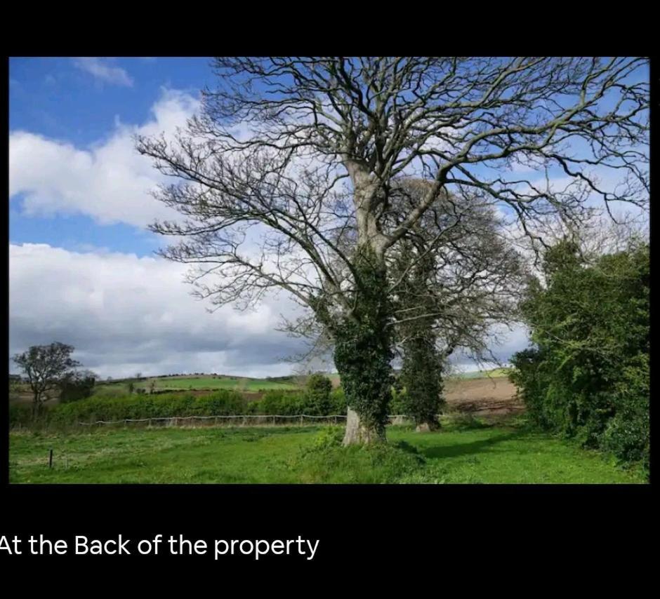 Scrabo View - King Bedroom With Private Bathroom *